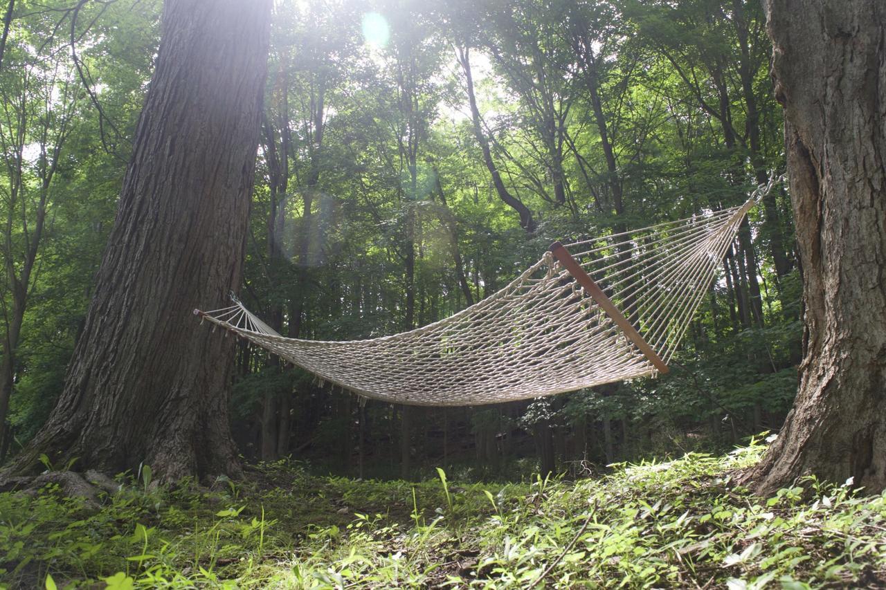 Pawling House Bed & Breakfast Bagian luar foto